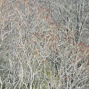 Meet your Posher, Esther